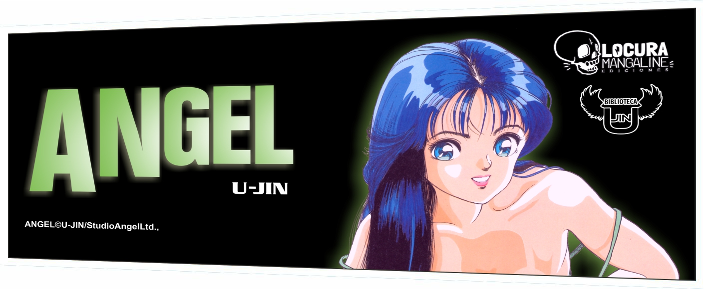 banner web angel
